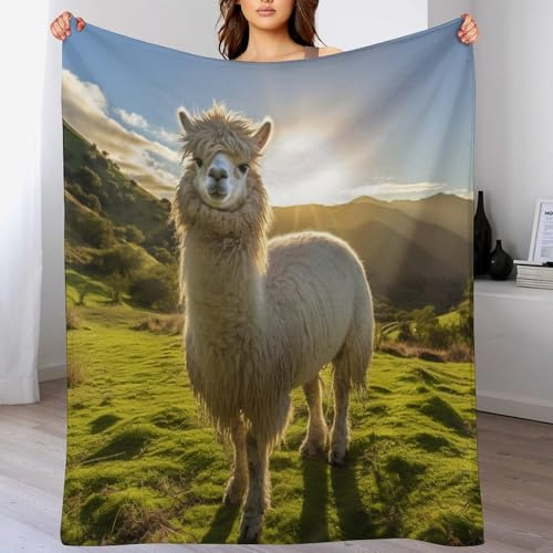 Decke Alpaka Decken Tagesdecke - Weiche Flannel Decke Sofadecke - Wohndecke Sofaüberwurf Bettüberwurf 150×200cm