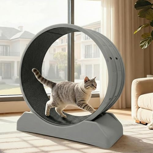 Katzenlaufrad 80cm aus PP, Super Leises Laufrad Katzen mit Verriegelung, Indoor Katzenlaufband für Fitness & Training, Platzsparendes für Wohnungskatzen