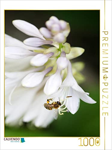 CALVENDO Puzzle Hostablüten | 1000 Teile Lege-Größe 48 x 64 cm Foto-Puzzle für glückliche Stunden