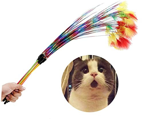 Yardwe Jouets pour Chat Teaser Teaser Kitten Coloré Arc-en-Ciel Tige Plastique Pet Chat Jouets Interactifs Pet Chat Fournitures Couleur Aléatoire