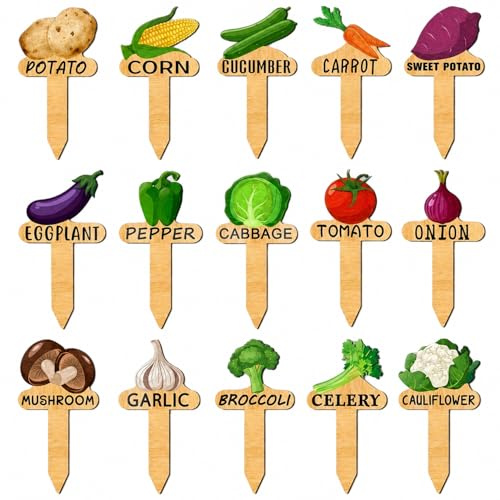 15 PCS Vegetable Patch Sign for Indoor Outdoor Potted Seed Stake Sign | Watercolor Funny Vegetable Plant Labels, Wooden T Type Wooden Plant Labels for Seedling Identification Flower Pot Signs