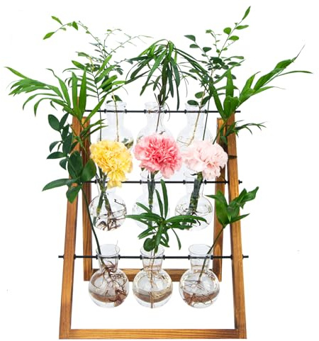 Eclare Pflanzenanzuchtstationen, Desktop Anzuchtstation mit Holzständer und Glasbirnenvase für Hydrokulturpflanzen, Retro Pflanzenterrarium für Zuhause & Büro, Weihnachten Geburtstag Geschenke (9