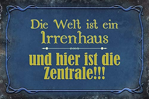 Schatzmix Welt ist EIN Irrenhaus. Metallschild Wanddeko 20x30 cm tin Sign Blechschild, Blech, Mehrfarbig