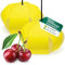 WITA Pheromonfalle [Bio Komplettset mit Pheromone Lockstoff] - FBM (Kirschmadenfalle)