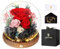 MAMAMIKO Rosa Stabilizzata Vera con Luci LED,Fiori Rose Eterna la Bella e la Bestia,Regalo per Lei,Idee Regalo San Valentino,Compleanno,Anniversario per Donna Fidanzata Mamma,Festa della Mamma(Rossa)