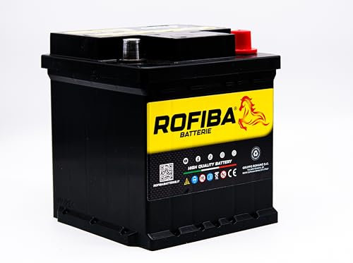 Rofiba Batteria per Auto Microcar L0 40Ah 12V Polo positivo Destro