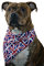 Pet Pooch Boutique Hunde-Halstuch, Union Jack, Größe XS/S