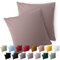 Blumtal Kissenbezug 80 x 80, 2 Stück - Oeko-TEX zert. Kissenbezüge 100% Mikrofaser in extra weich & waschmaschinenfest - Bezug Kissen 80x80 Taupe