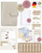 BeginnerBudget® Budget Planner Deutsch - Starterset mit Sparchallenge Budgetplaner - Sparen mit Umschlagmethode + Anleitung - Ringbuch A6 - Binder A6 Gecko-Style (Grau)
