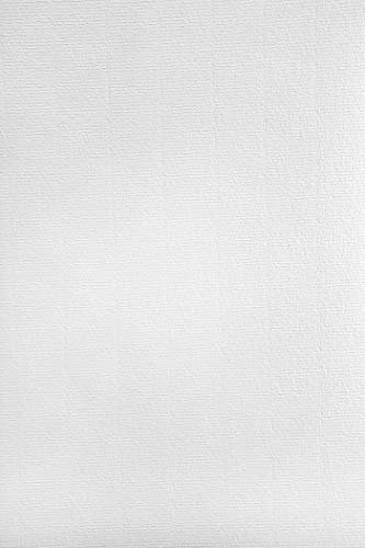 Netuno 500x Weiß Bastelpapier gerippt mit Wasserzeichen DIN A4 29,7 x 21 cm 120g Aster Laid White Briefpapier Effektpapier mit feiner Rippung Ausstattungspapier Designpapier Urkundenpapier Motivpapier