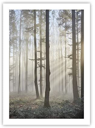 ARTTOR Wandposter Art Prints 50x70cm Poster ohne Rahmen Wald Baum Natur Küche Wanddeko Bild Wand Kunstdruck Deko Wandbilder Dekoration Wohnzimmer Schlafzimmer Modern Wall Art Decor - P2XPA50x70-3749