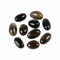Nvzi Brazilian Tumbled Polished Natural Smoky Quartz Crystal, Crystals and Healing Stones Quartz Bulk for Wicca, Reiki, Healing Energy, Chakra Stones, Witchcraft Supplies(10Pcs)