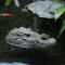 Vinbcorw Interessantes Schwimmendes Modell-Krokodil-Wasser-Ornament Ornament der Teich-Garten-Wasser-Statue,A