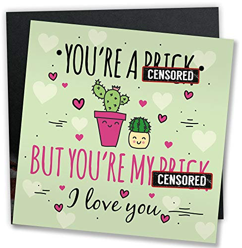 RED OCEAN Funny Anniversary Card Rude Birthday Valentines Card Gift For Boyfriend or Husband Relationship Gifts