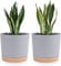 QCQHDU Lot de 2 Pots de Plantes 20.3cm, Pots pour Plantes d'intérieur avec Trous de Drainage et Base Amovible, Soucoupe décorative Moderne pour jardinières d'extérieur (Gris Clair 20.3cm)