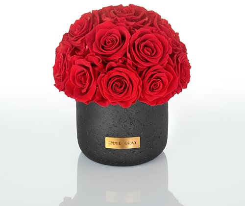 EG EMMIE GRAY Black Solid Infinity Collection - Traumhafte Infinity Rosen, 1-3 Jahre haltbare Rosen, Betonvase mit echten, konservierten Rosen, edle Premiumrosen - Größe S (Vibrant Red)