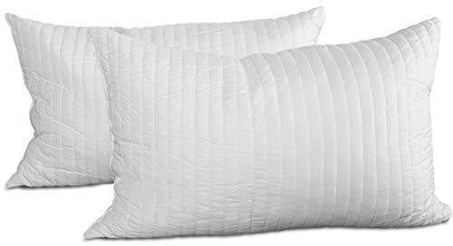 EVERGREENWEB - Migliore Coppia Cuscini Fiocco Memory Foam Ottimi per Dolori Cervicali Tessuto Traspirante 2 Guanciali Modello Saponetta 40x70 cm Cuscino per Il Collo Adatto a Tutti Materassi e Letti