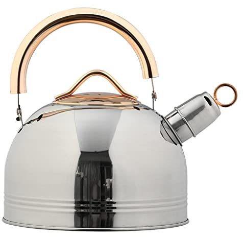 CHFYIJYHM Théière en Acier Inoxydable, poêle en Argent 3L, Bouilloire bouillante Plus, Cuisine, Salon de thé, cuisinière à Induction