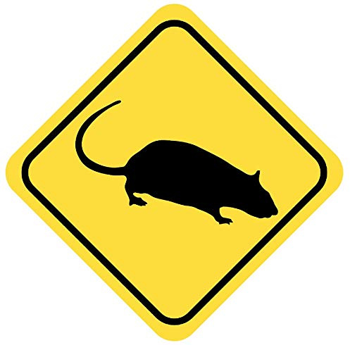 Samunshi® Ratte Warnschild Warndreieck Aufkleber Achtung Vorsicht Tier - 20x20cm mehrfarbig