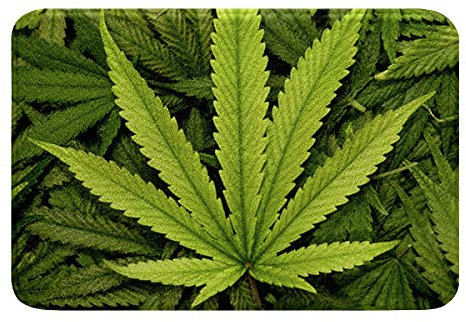 Marihuana Blätter Badteppiche 50x80cm Cannabis Blätter Badematte für Badezimmer Ultra Shaggy Marihuana Weed Blätter Bedruckte Badezimmerteppich Grün Nature Décor Wasserabsorbierend Badvorleger
