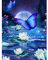 AIRDEA Schmetterling Diamond Painting Set für Erwachsene, 5D Mondschein Diamant Malerei Kits,Malen nach Zahlen,Lotos Blume Diamant Painting Bilder Round Full Kits Complete Diamant Kunst Kits 30x40cm