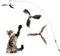 Cobee Cat Wand Toys, Interactive Cat Toys with 2 Feather Refills, Cat Feather Propeller Wand Toy with Bell, Cat Feather Toys Replacement Refills, Indoor Cat String Toy for Kitten Training(Piebald)