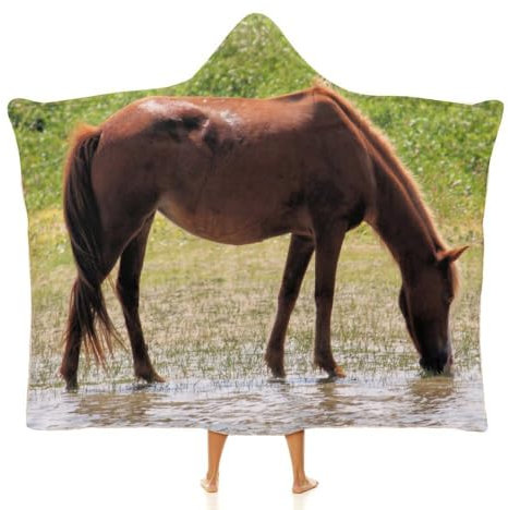 NIBABA Wild Horses at The Outer Banks Kapuzendecke, warme gemütliche Decke für Frauen, gemütliche Plüsch, bequeme Mikrofaser, Thermo-Überwurf, Kapuzendecke für Mädchen, 130 x 150 cm