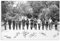 THEGIS The Walking Dead Cast Autogramm 1 Leinwand Poster Wandkunst Dekor Druck Bild Gemälde für Wohnzimmer Schlafzimmer Dekoration ungerahmt 60 x 90 cm