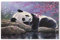 Puzzel Für Erwachsene Jigsaw Puzzle 1000，Schlafender Panda，DIY Papier puzzle Einzigartiges Geschenk Wohnkultur Stil（50x70cm）-H96