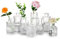 Pequeños Centros De Mesa De Cristal Jarrón De Flores: Glasseam 8 Piezas Vintage Mini Bud Sweet Pea Jarrones Set Cut Crystal Clear Botellas De Cuello Estrecho para Rosas Pampas Hierba Boda Decoración