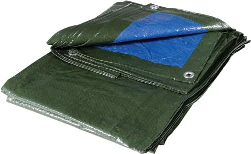 Generico TELO OCCHIELLATO 8X10 80 GR VERDE