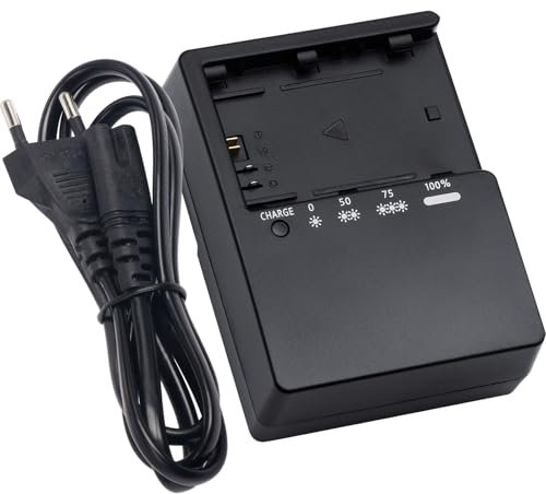 LC-E6 Chargeur rapide compatible avec Canon LC-E6 LC-E6E LP-E6 LP-E6N LP-E6NH pour Canon EOS R5 R6 5D 5D Mark III 5DS R 6D 7D 60D 60DA 70D 80D 90D Mark II Caméras Power