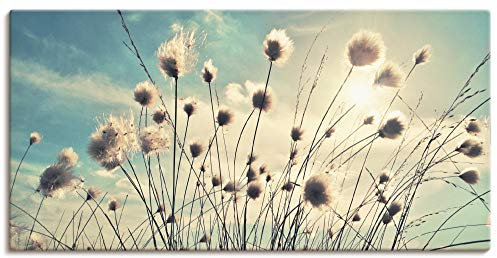 ARTLAND Wanddeko Leinwand Bilder Wandbild 150x75 cm Blumen Blüten Botanik Gräser Wollgras Himmel Sonne Wolken Frühling T2GI