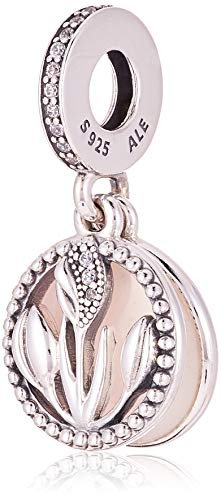 Pandora -Bead Charms 925 Sterlingsilber 797825CZ