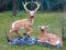XXL Hirsch + REH Paar AUF FELSEN 115cm lebensgross Premium Garten Deko Figur Dekoration WILD DEKO inkl. Spedition