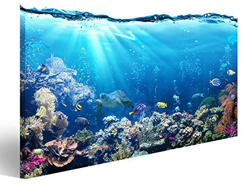 islandburner Bild auf Leinwand Unterwasser Szene Riff Und Tropischen Fischen Wandbild Poster Kunstdruck Bilder 100x57cm