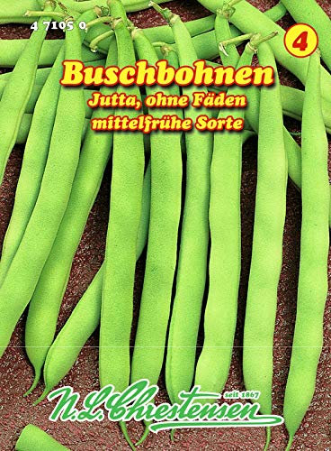 Buschbohnen, Jutta mittelfrüh, grün, ohne Fäden N.L.Chrestensen Samen 471050-B