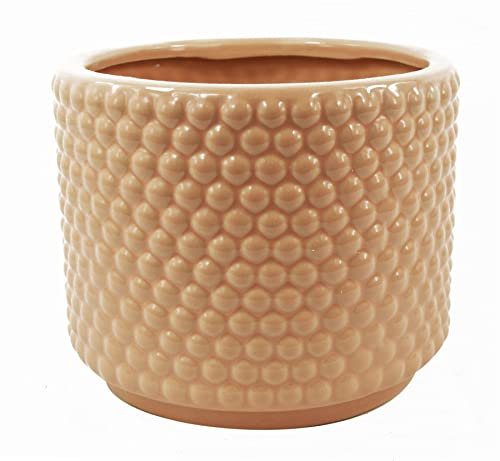 Leaf Cache-Pot d'intérieur en céramique 12,5 cm Rose poudré