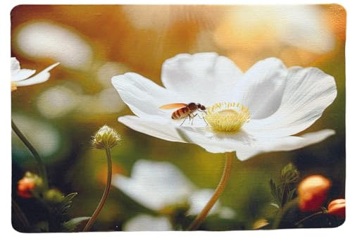 Traumduft Dekoset Tischset Platzdeckchen Platzset Bienchen waschbar 40 x 30 cm, Set Größe:4 er Set