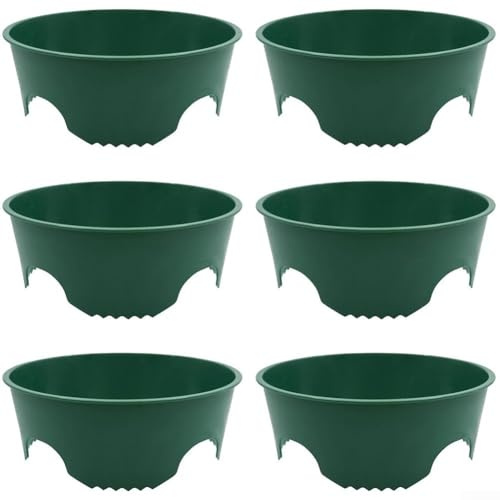 Lot de 6 protections pour plantes, pour stabiliser le sol, optimiser, dissuader les insectes, zones décoratives comestibles