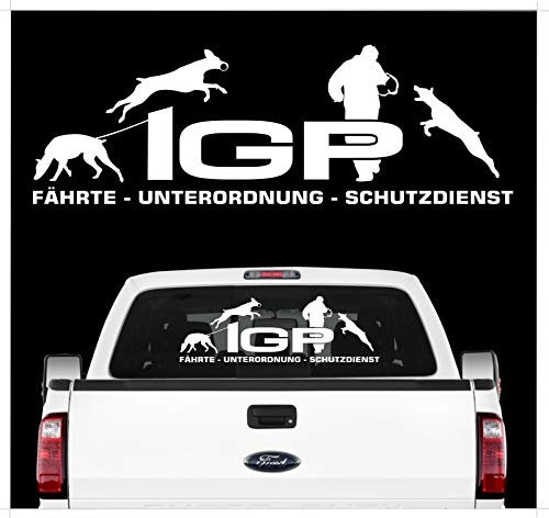 siviwonder Auto Aufkleber IGP Dobermann KUPIERT Dobi Autoaufkleber K9 Hundeanhänger ehemals IPO Hundesport Hundemotiv weiß