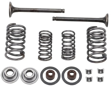 WOOSTAR Zylinderkopf 64mm Ventilbaugruppe Ersatz für GY6 50ccm 139QMB Motor Roketa Taotao Sunl Chinesisch ATV Quad Roller Dirtbike Pitbike Go Kart