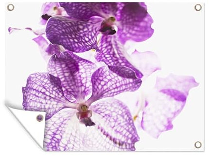MuchoWow Outdoor-Poster Poster Wanddeko draußen Deko Garten Gartenposter 40x30 cm Lila Orchideen