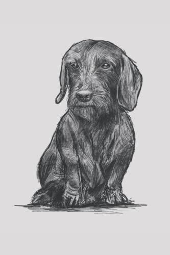 Notizbuch: Dackel Notizbuch | 6x9 Zoll DIN A5 | 100 Seiten liniert | Rauhaardackel Notizheft | Hundehalter Tagebuch | Hunde Notebook | Hundeliebhaber Schreibheft