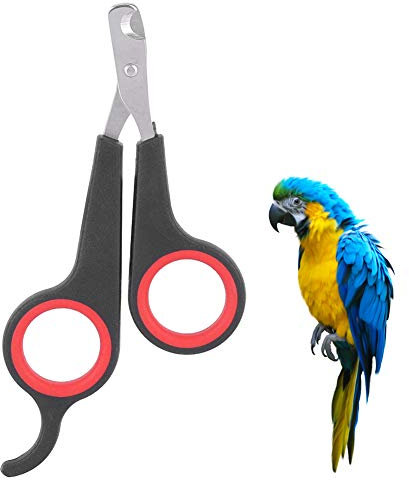 Cortaúñas para Pájaros, Tijeras para Uñas de Loros, Cortaúñas para Mascotas, Herramienta de Aseo para Cortaúñas, Cuidado de Garras de Animales Pequeños para Pájaros, Loros,