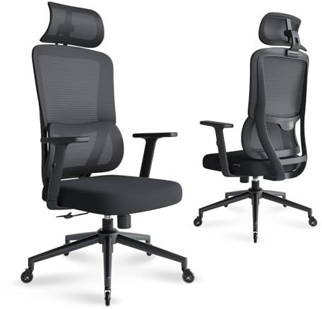 Eucladoceros Bürostuhl Ergonomischer Schreibtischstuhl, Drehstuhl mit Automatischer Lordosenstütze, Aufzug Armlehne, Höhenverstellung und Wippfunktion, Bürostuhl 150 kg, Gummirollen,Schwarz