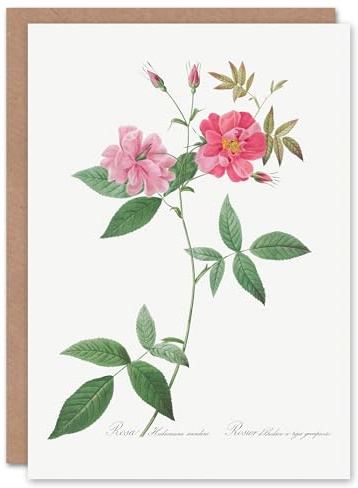 Artery8 Pierre-Joseph Redouté Art Card Hudson Rosehip Vintage Botanical Illustration