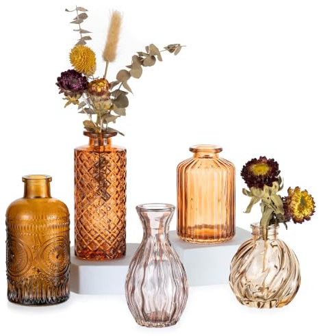 Hewory Kleine Vasen für Tischdeko, 5er Glasvase für Herbstdeko Innen | Vaset Set für Herbst Dekoration, Herbstfarbe Vase Glas Vintage Blumenvase Vasen Klein Tischdeko für Party Home Wohnzimmer