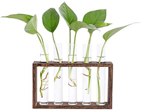 Hyindoor Vase en Verre de Tube à Essai avec Support en Bois pour Plantes Hydroponiques Tube Vase Vintage Décoratif pour Tenture MuraleCadeaux pour la Saint Valentin Noël Anniversaire, 5 Trous