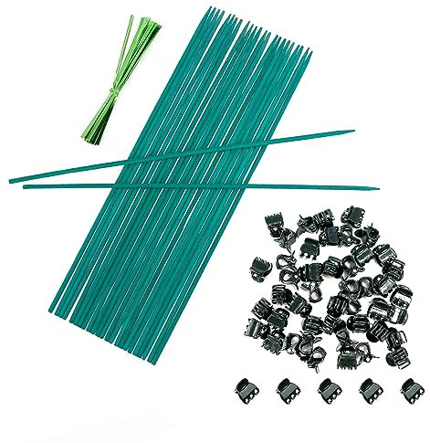 TSKDKIT 25 Stück pflanzenstab Bambus Grün 38 cm, Pflanzenstützen Bambusstäbe Mit 50 Pflanzenbindern und 50 Pflanzenclips, Pflanzstäbe Tomatenstäbe für Kletterpflanze Erweiterung der Pflanzenstütze